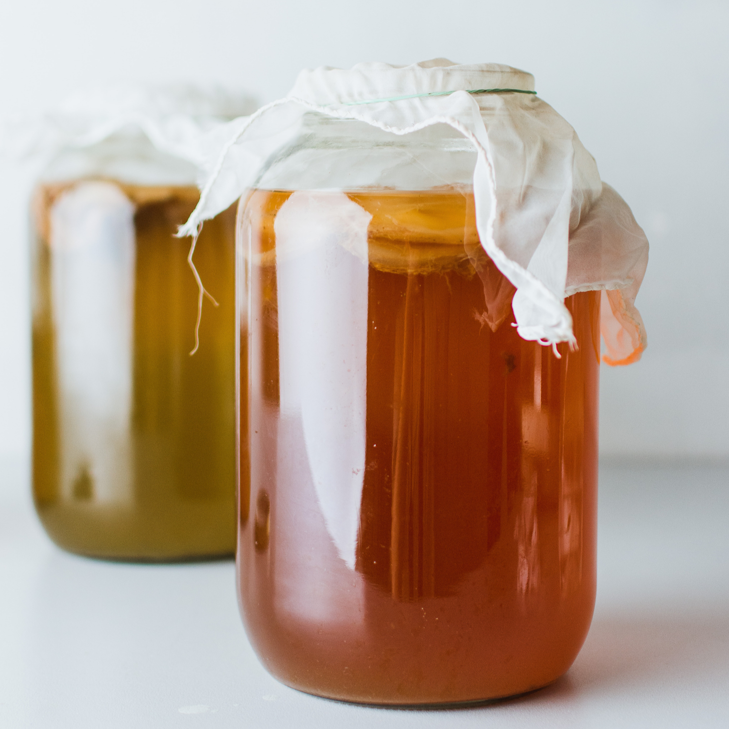 What's in a SCOBY?