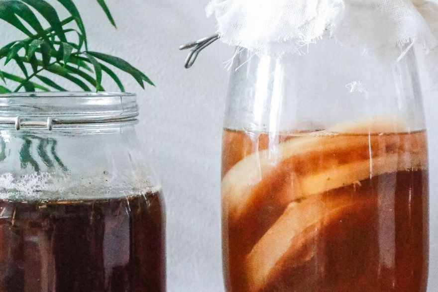 benefits of drinking kombucha