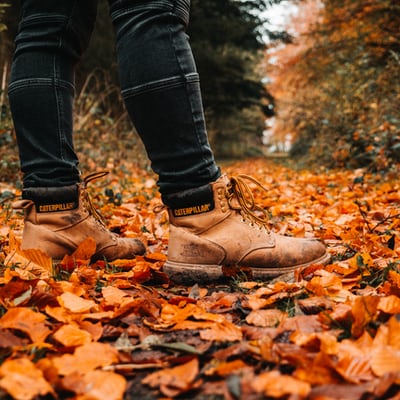 Favorite Fall West Coast Trips
